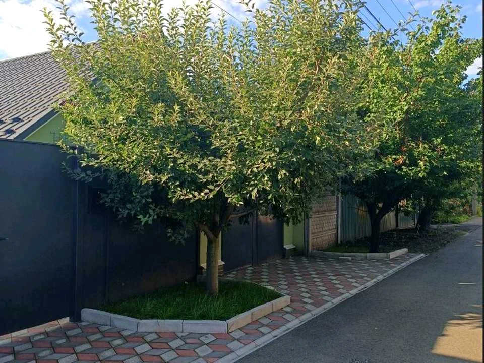 Будинок. Суми, Михайлівська вул.