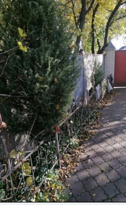 Терміновий продаж будинку поруч з Царським