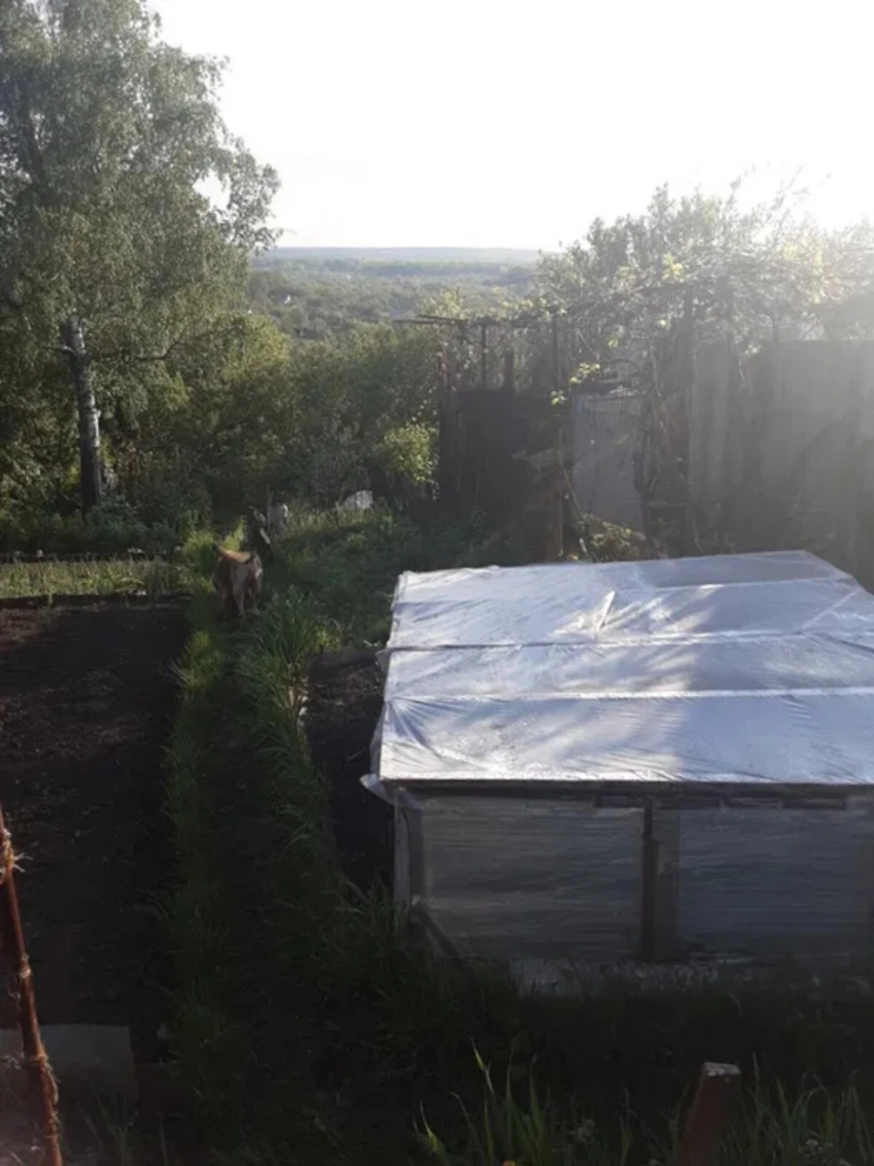 Продаж Дім