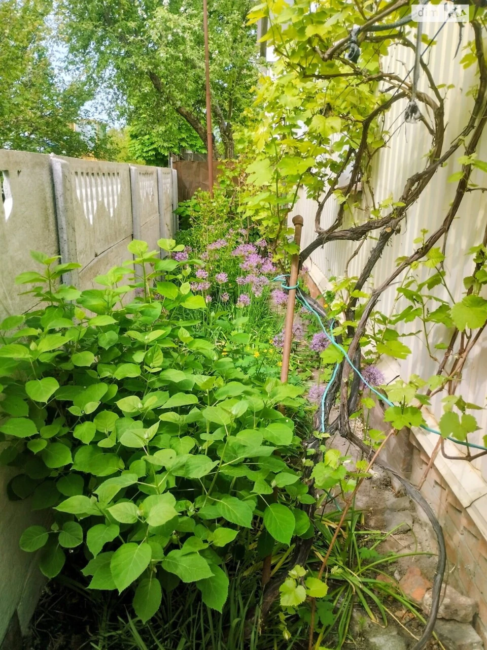 Продаж Дім Ковпаковський