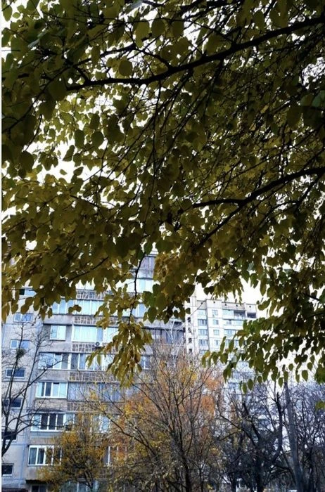 For sale 1 room sq.m. V.Ivanesa 9 (Mateyuka) Forest massif WITHOUT COMMISSION