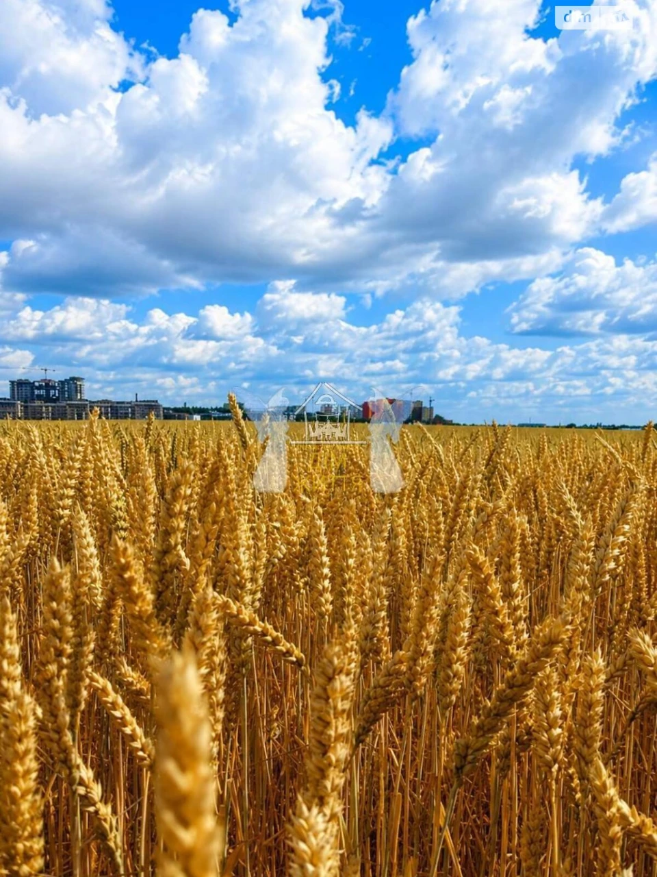 Продаж Земля сільськогосподарського призначення Східний