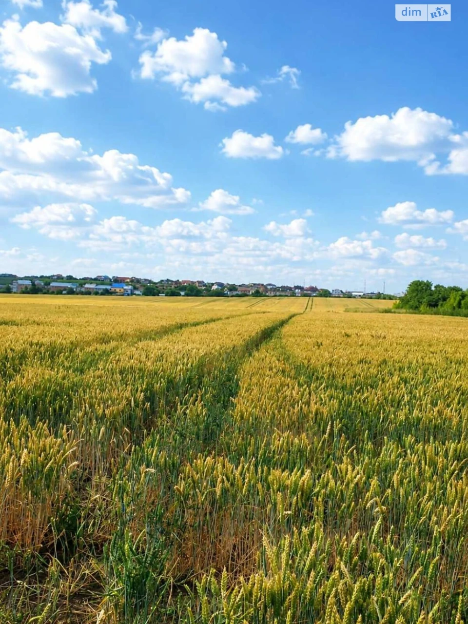 Продаж Земля сільськогосподарського призначення Східний