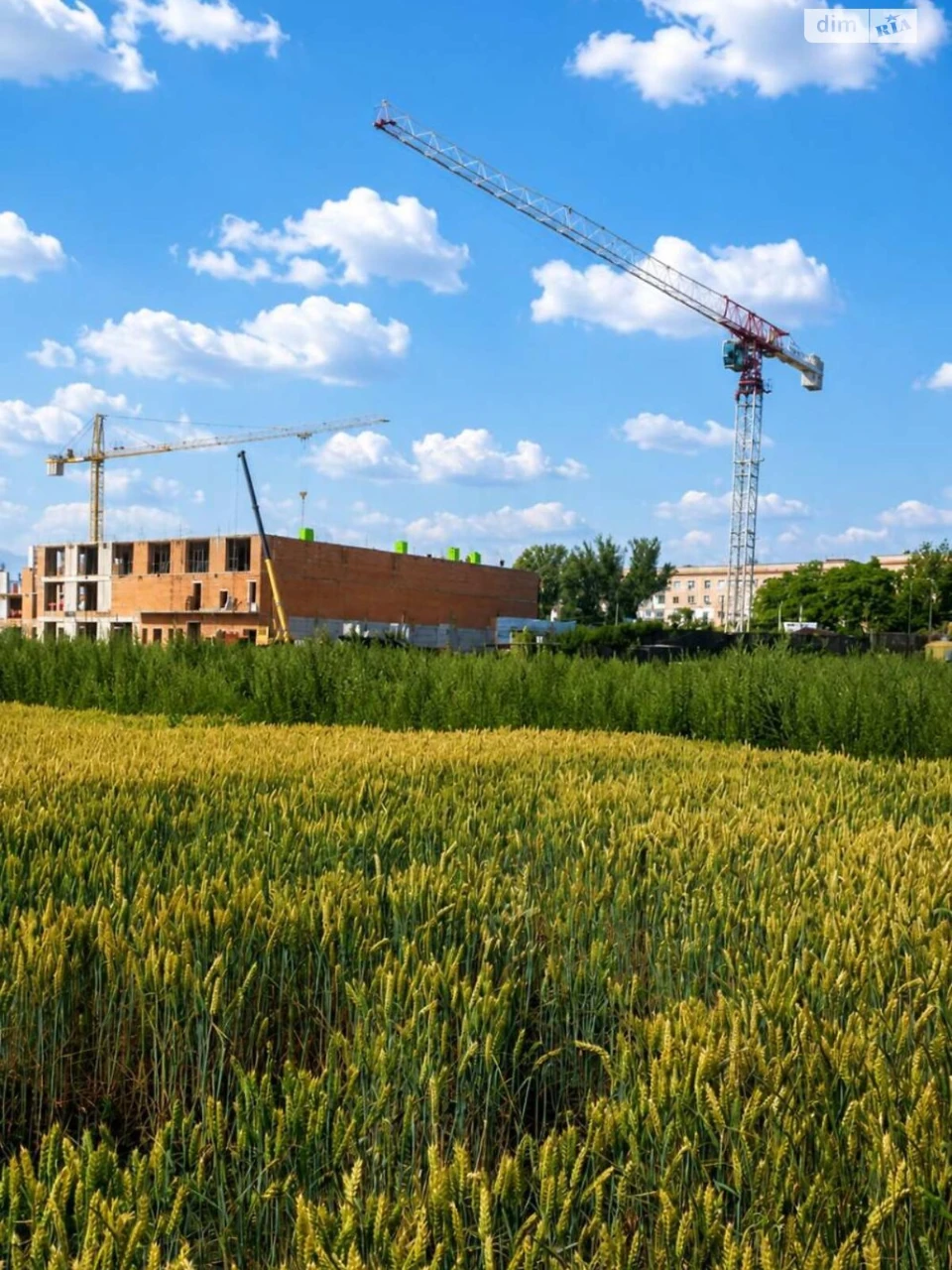 Продаж Земля сільськогосподарського призначення Східний