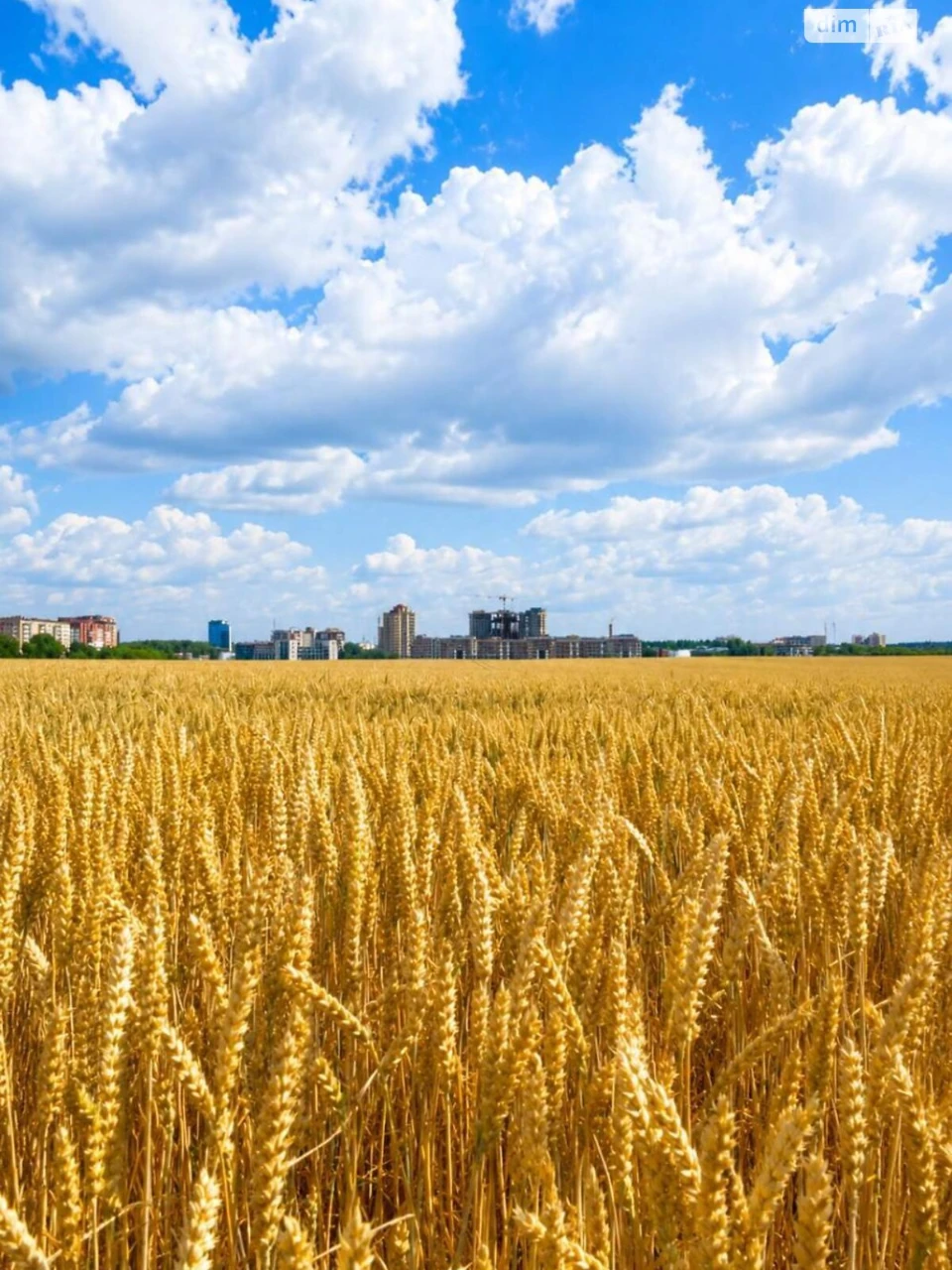 Продаж Земля сільськогосподарського призначення Східний