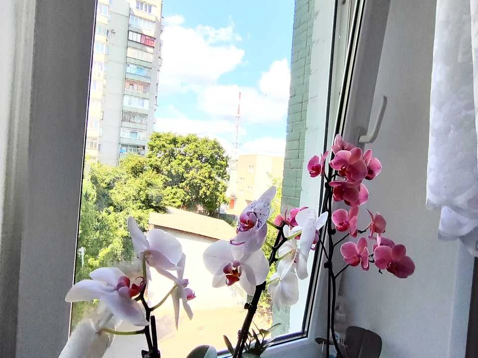 Квартира. Чернігів, Реміснича вул. (Комсомольська)