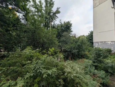 1-кімнатна квартира, вул. Пухова, 39 м², поруч Березовий Гай
