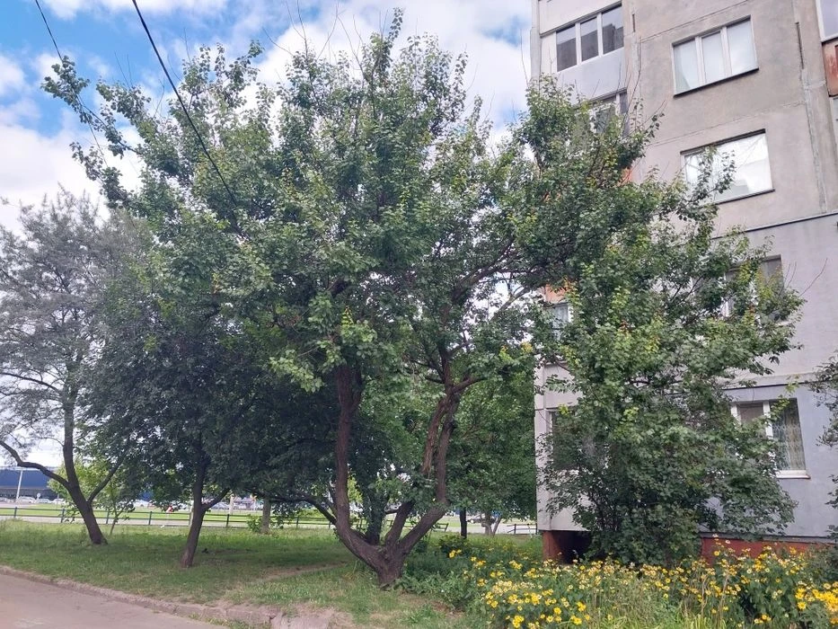 Продається 1 кімнатна, Пухова б 148, 40 м, ЧН , біля Єпіцент