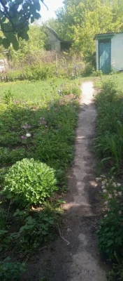 Продаж Дачі в Березанці СТ Березань