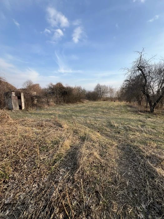 Будинок у Мохнатині біля Чернігова. Ділянка, сад.