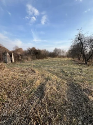 Будинок у Мохнатині біля Чернігова. Ділянка, сад.