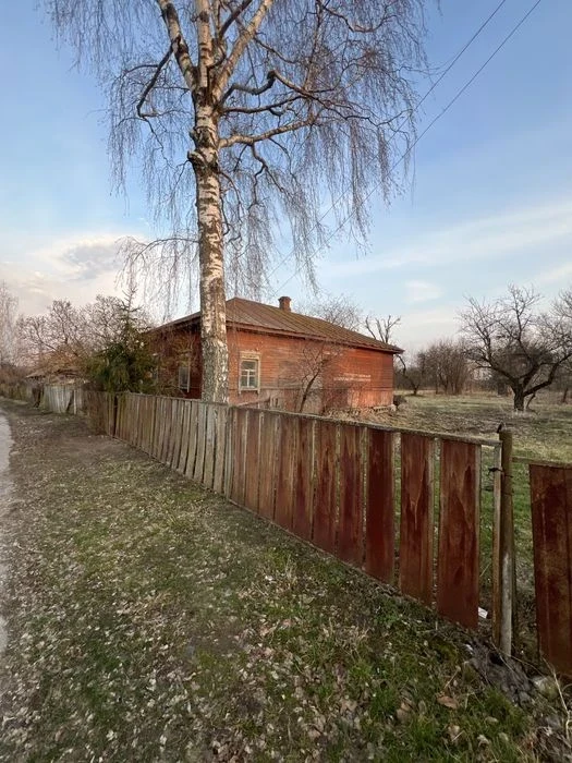 Будинок у Мохнатині біля Чернігова. Ділянка, сад.