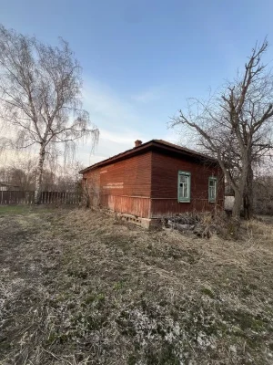 Будинок у Мохнатині біля Чернігова. Ділянка, сад.