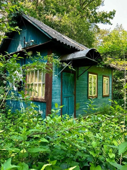 Урочище Святе,перша лінія від лісу,ділянка 9 соток,приватизо