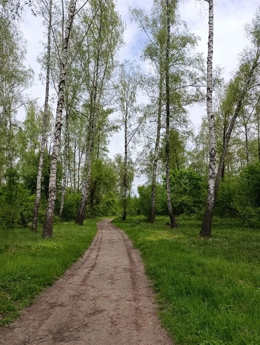Дача ! Чернігів! Постійне проживання ! Ліс !