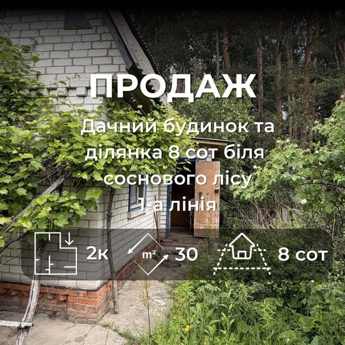 Дача біля соснового лісу — перша лінія, 8 соток, цегла, 2 по
