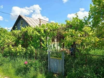 Продаж будинку  дачного до Десни 800 м  5 соток