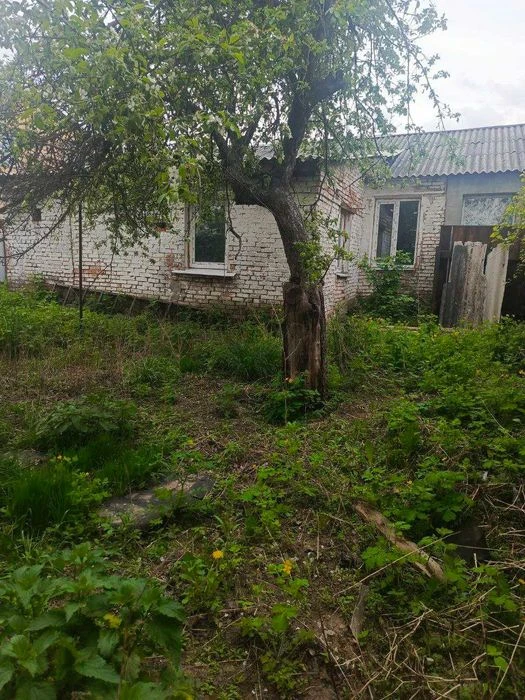 Продаю 1/2ДОМА 62м2.Кирп Отдел.Двор 3.5сот Нов.ГазКотел. М/п