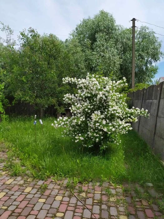 Гарний будинок по вулиці Олександрівська