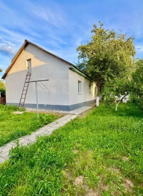 Комфортний будинок з новим ремонтом! (A11)