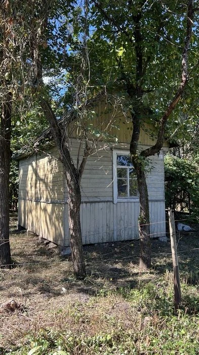 Дача. Урочище Святе.