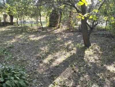 Дача. Урочище Святе.
