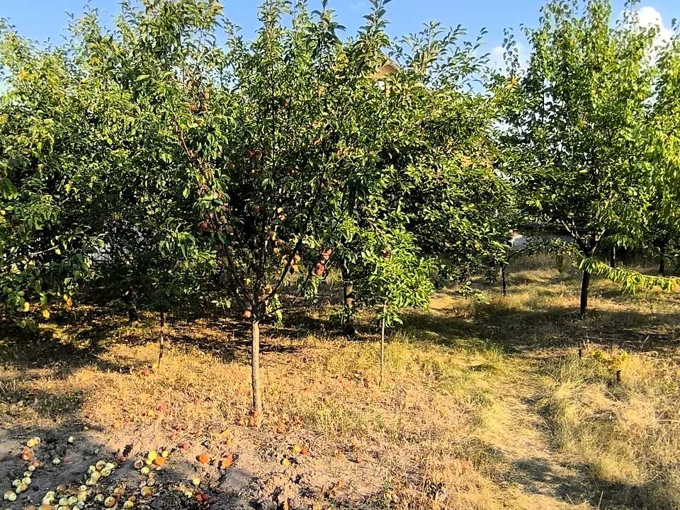 Будинок. Кропивницький, Свободи вул.