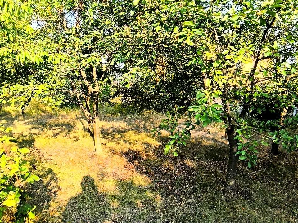 Будинок. Кропивницький, Свободи вул.