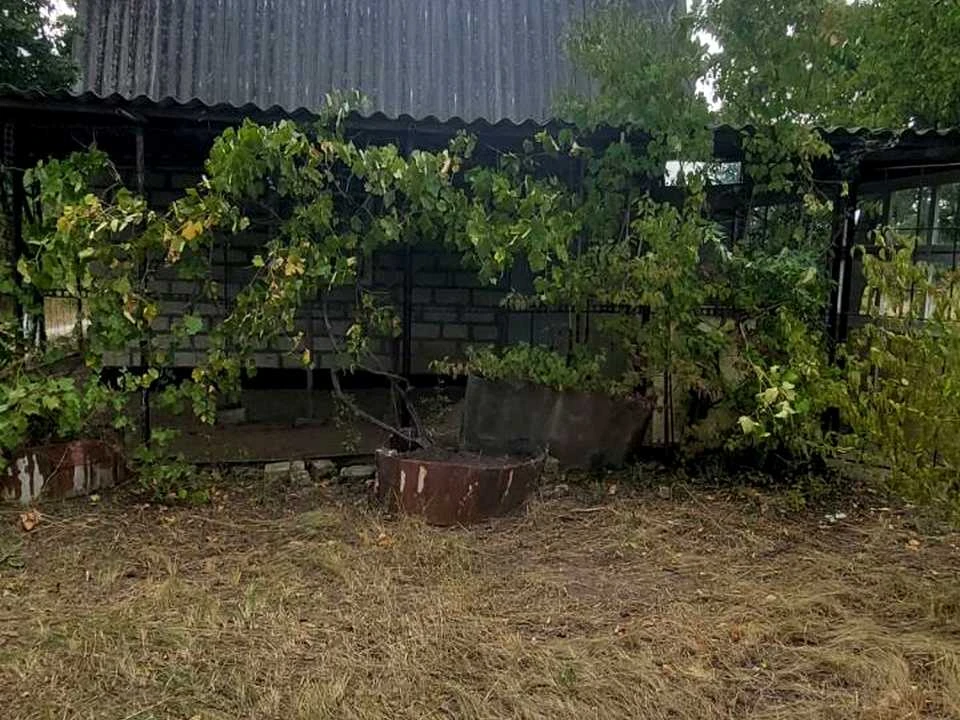 Будинок. Кропивницький, Хлібна