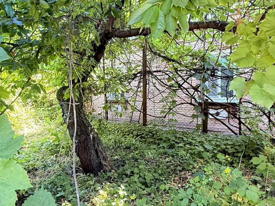 Будинок. Кропивницький, Отамана Чорного Ворона вул. (Уральсь