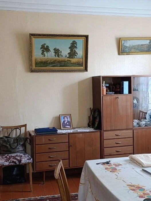 Продам будинок в центрі міста по вулиці Пашутінський / Шевче
