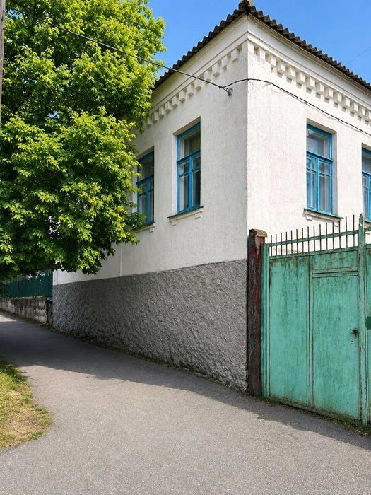 Продам будинок в центрі міста по вулиці Пашутінський / Шевче