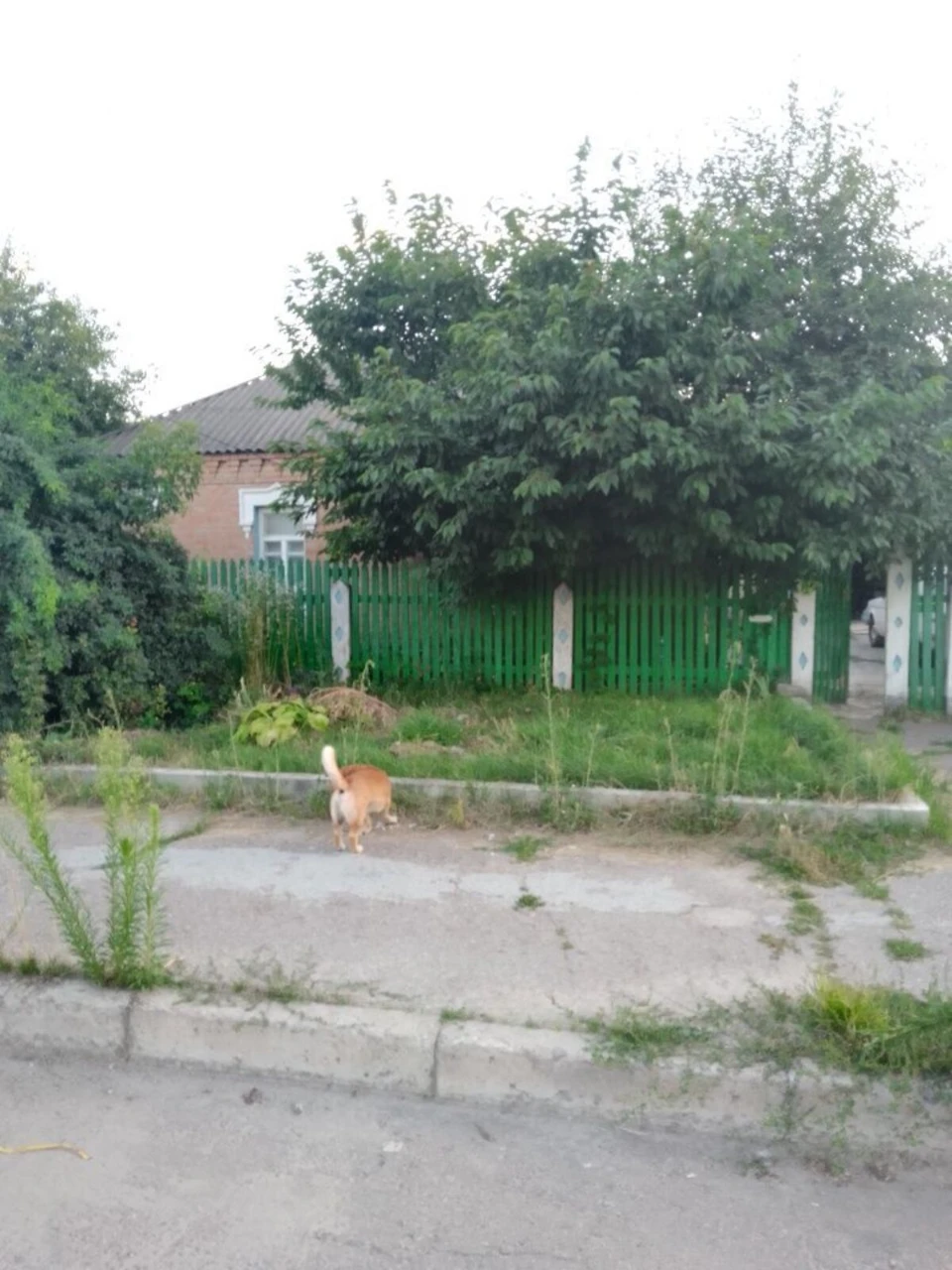 Продаж Дім