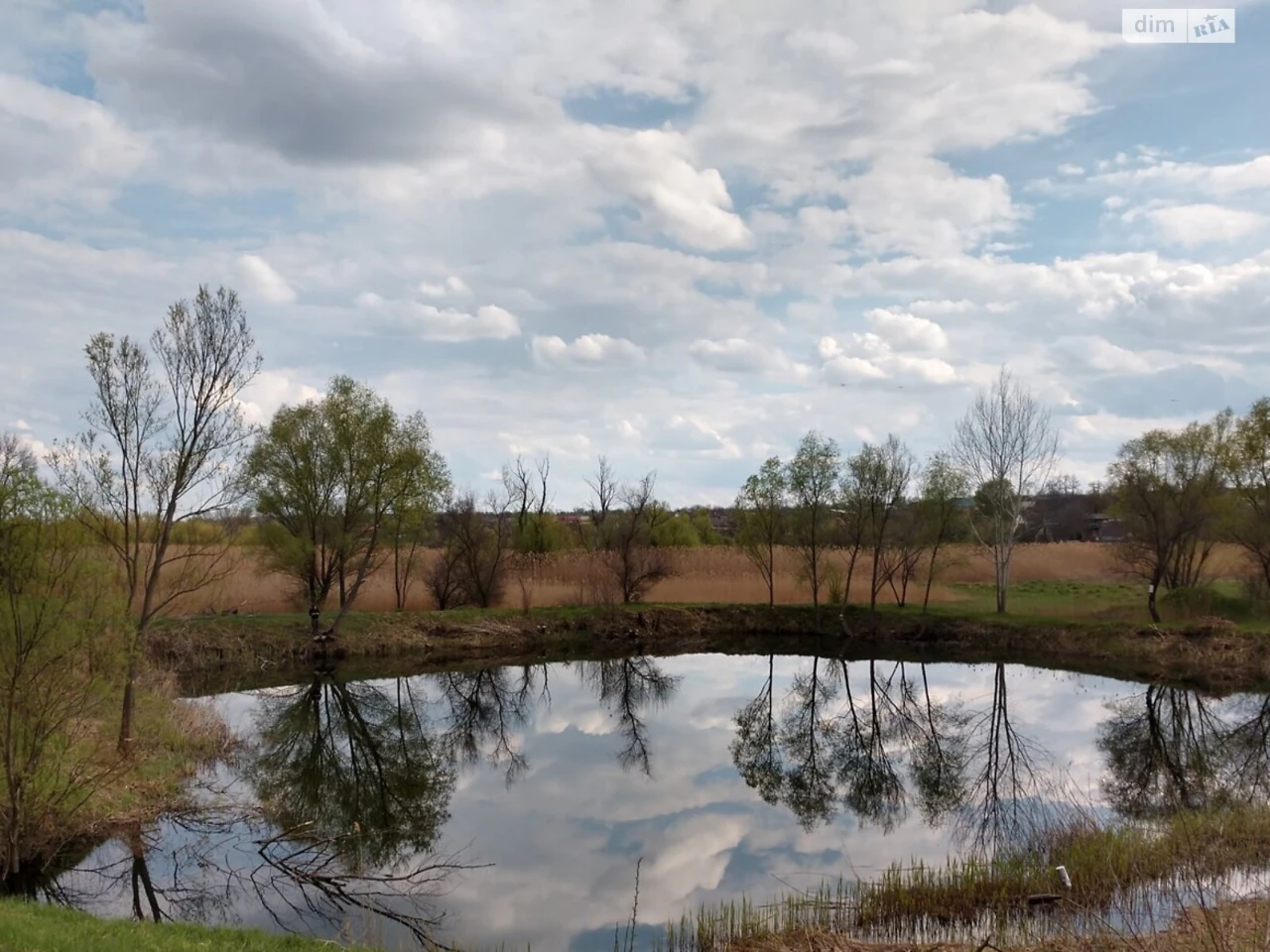 Продаж Земля сільськогосподарського призначення Лелеківка