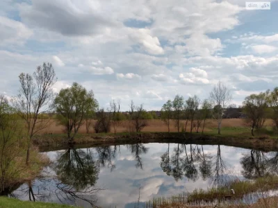 Продаж Земля сільськогосподарського призначення Лелеківка