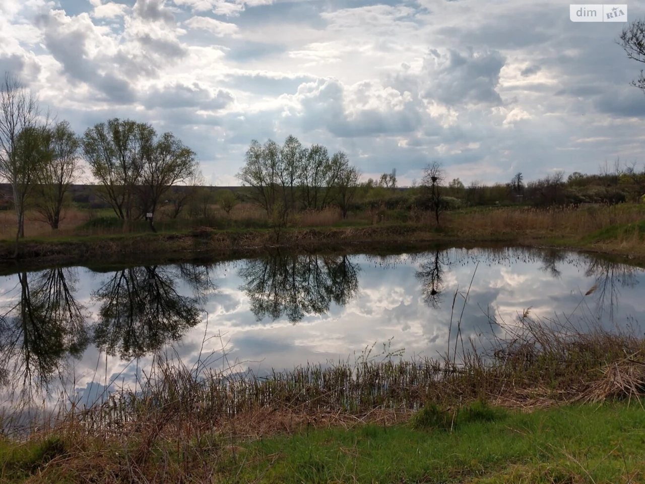 Продаж Земля сільськогосподарського призначення Лелеківка
