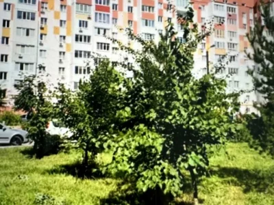 Квартира. Харків, Перемоги просп.