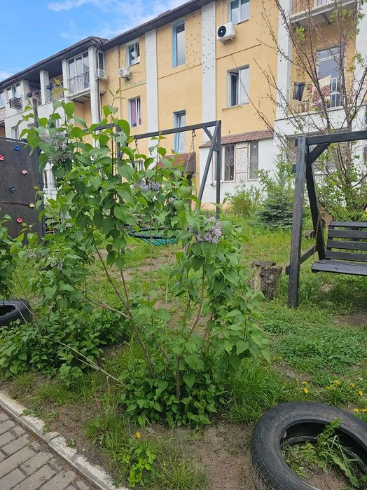 Продажа смарт квартиры Французкий Бульвар