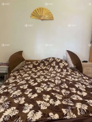 2к.50м2 Центр (Восстания, Защитников Украины, Ладожский пер.