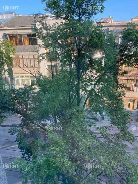 4к. 75м2 Центр (ул Мироносицкая 88, Университет, Парк Горько