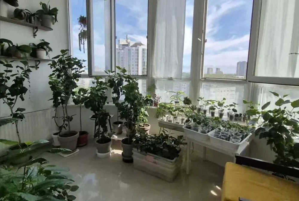 Продам 2 ком на ул. Кленовой/ М. Говорова Парк Победы СК Ст