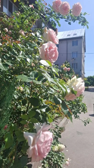 Екс! Продам 3к двоповерхову квартиру 120м2, 3й та 4й поверхи