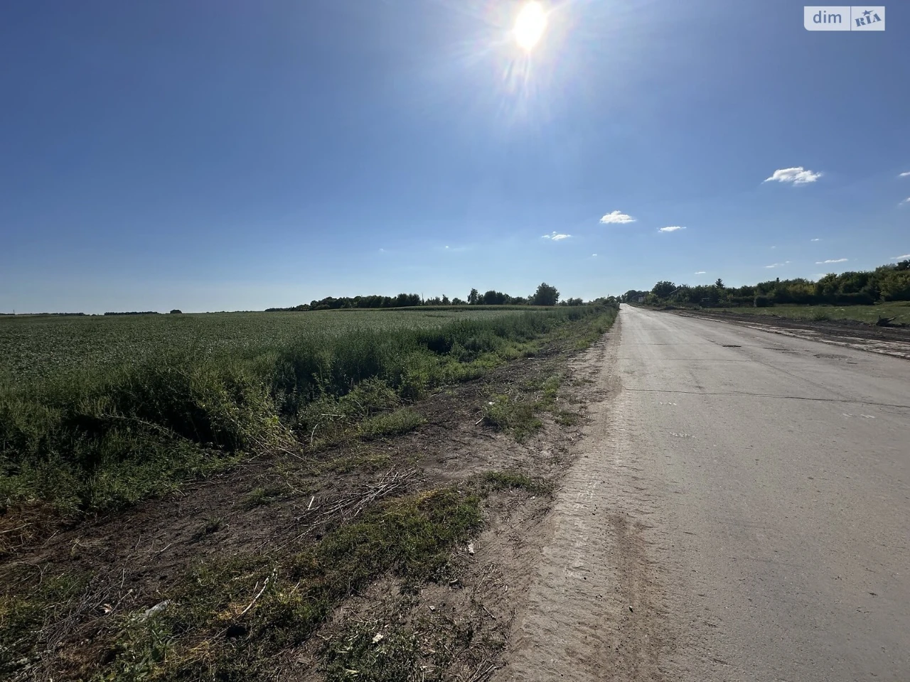 Продаж Земля сільськогосподарського призначення Замостянськи