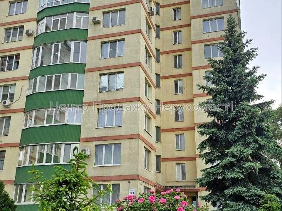 Apartment. Kharkiv, Velyka Panasivska St. (Kotlova)