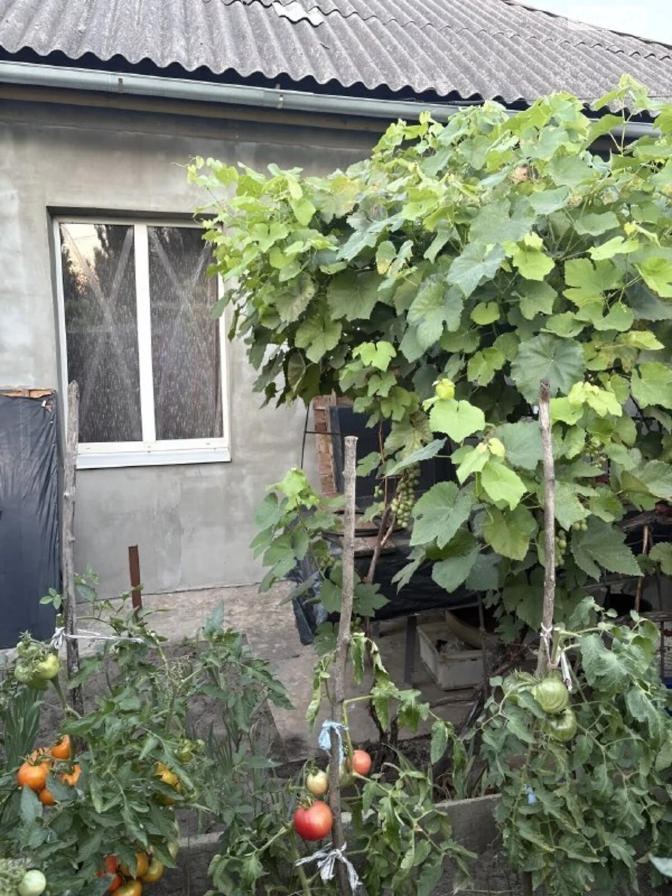 Продаж Дім Холодногірський