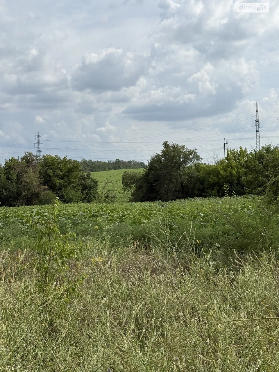 Продаж Ділянка під житлову забудову Краснопілля