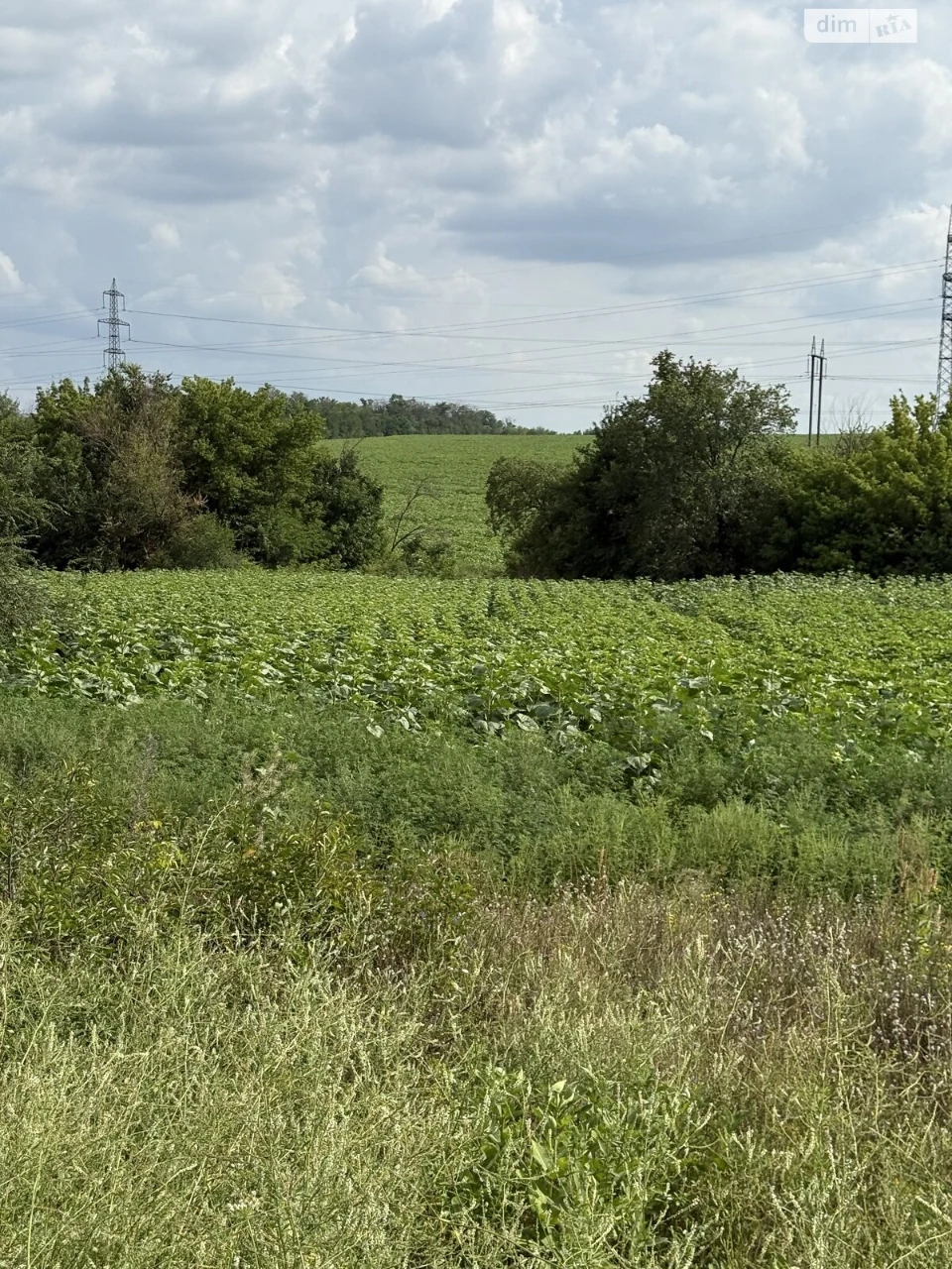 Продаж Ділянка під житлову забудову Краснопілля