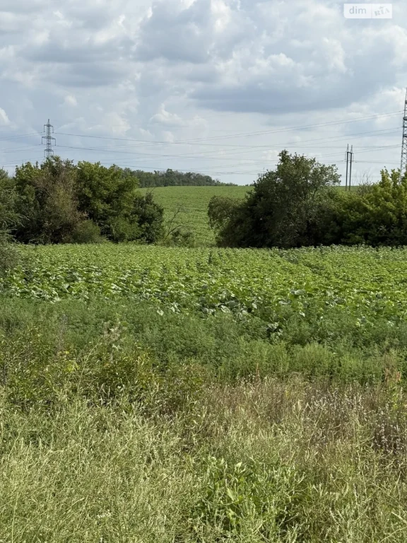 Продаж Ділянка під житлову забудову Краснопілля