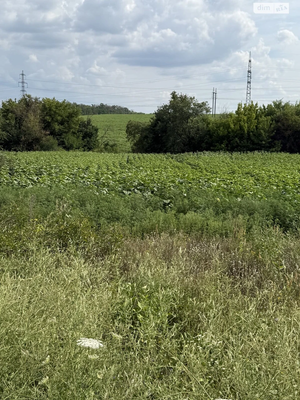 Продаж Ділянка під житлову забудову Краснопілля