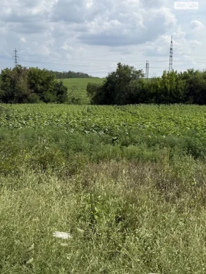 Продаж Ділянка під житлову забудову Краснопілля